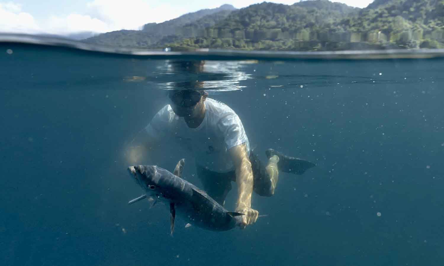 Sabores da Sobrevivência