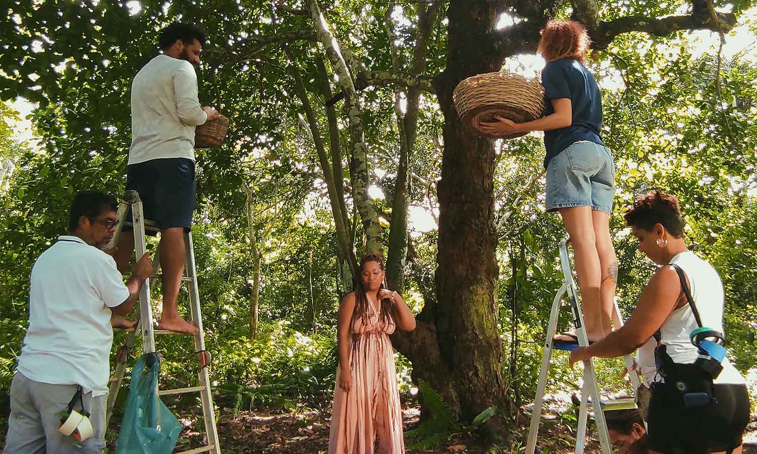 Sobre plantas, mãos e fé