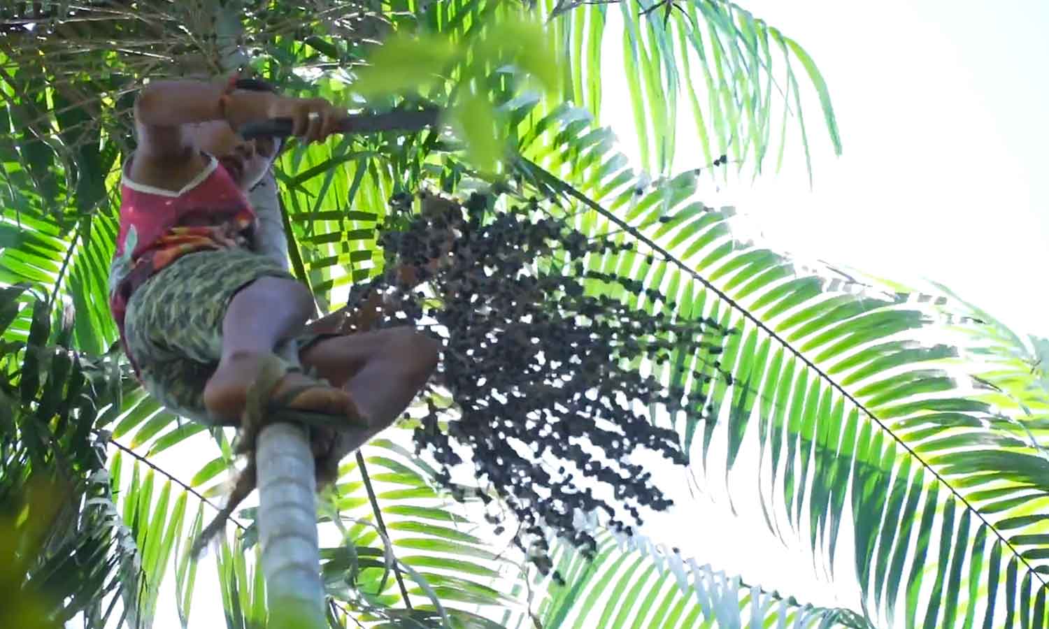 Como fazer açaí