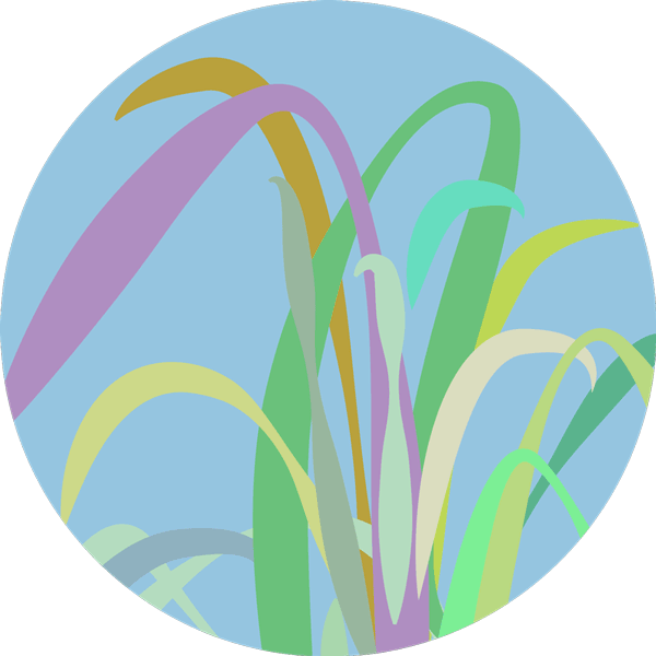 imagem circular com fundo azul e ilustração digital de uma planta de citronela